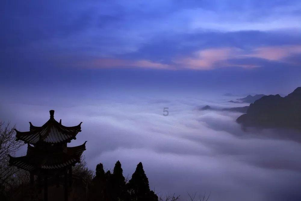 骑士的侍从