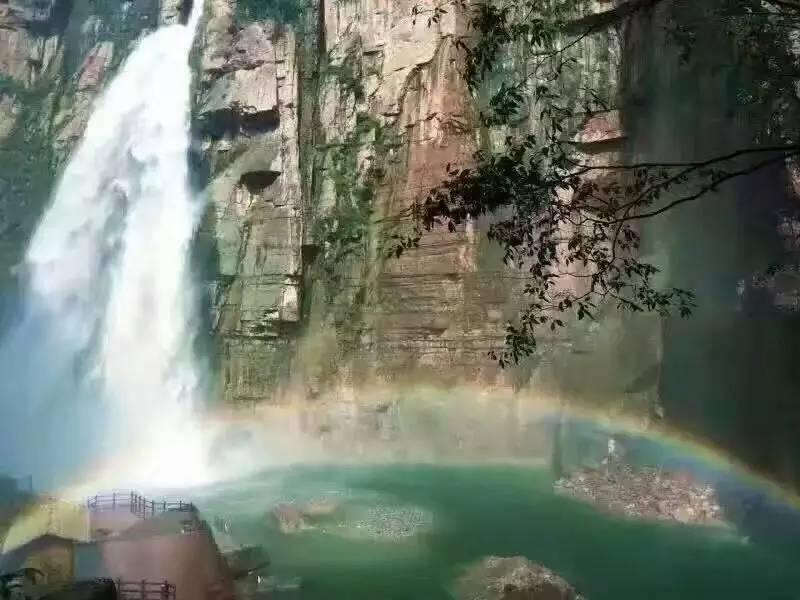 救援甜蜜熊