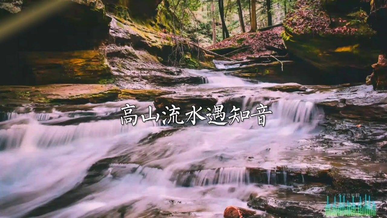 破碎的动物图形