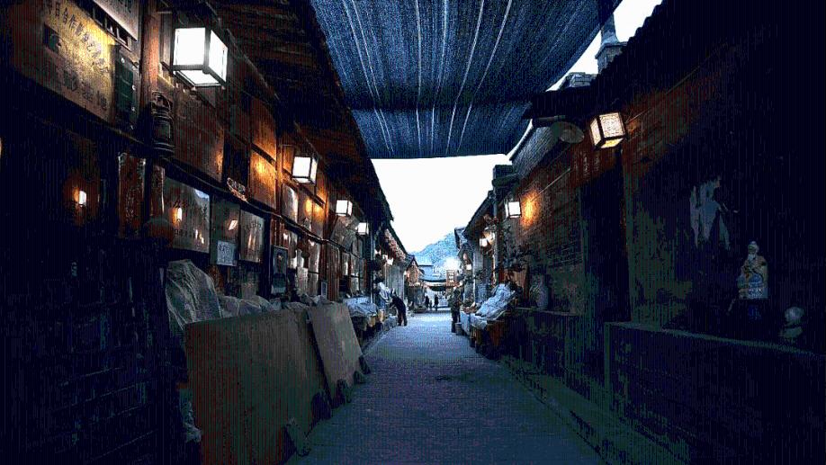 【动态】寒潮来袭!农技员田间“把脉”确保16余万亩粮油作物安全过冬